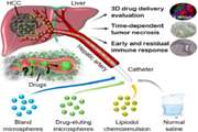 A review of applying transarterial chemoembolization (TACE) method for management of hepatocellular carcinoma